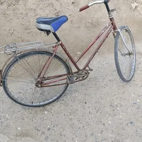 Welosepet 26 lyk