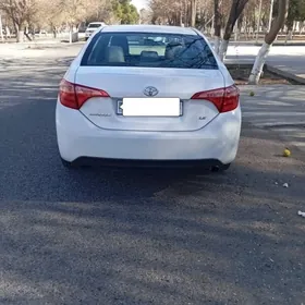 Toyota Corolla 2019