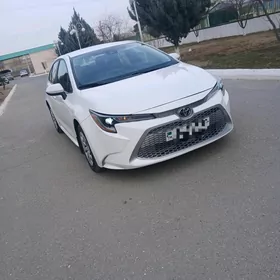 Toyota Corolla 2020