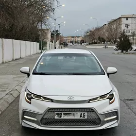 Toyota Corolla 2019