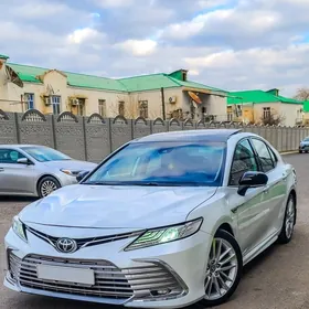 Toyota Camry 2019