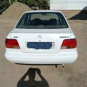 Toyota Corolla 1995