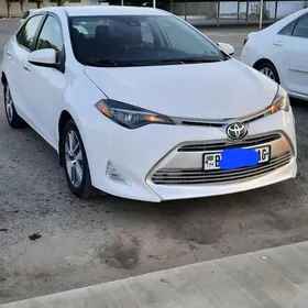 Toyota Corolla 2019