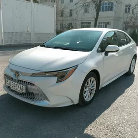 Toyota Corolla 2020