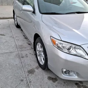 Toyota Camry 2010