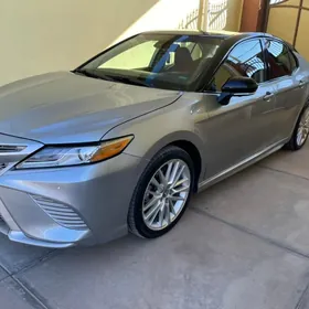 Toyota Camry 2020