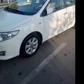 Toyota Corolla 2008