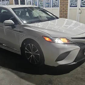 Toyota Camry 2019