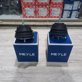 Mator paduşka BMW E39 Meýle