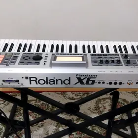 Roland Fantom X6