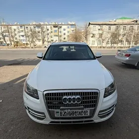 Audi Q5 2010