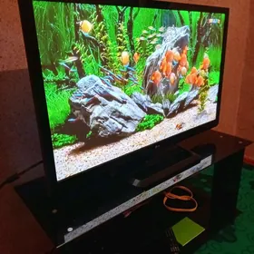 lg43 tv