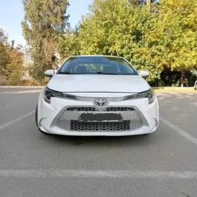 Toyota Corolla 2020