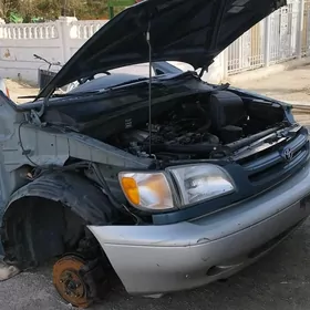 Toyota Sienna oñ Morda Angar