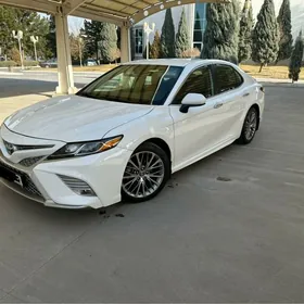 Toyota Camry 2019