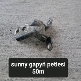 Sunny gapyñ petlesi