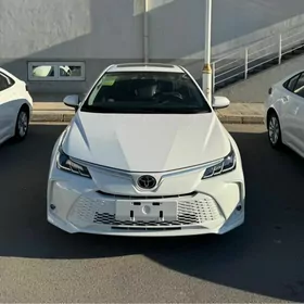 Toyota Corolla Hybrid 2024