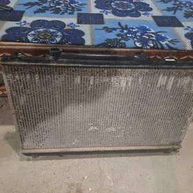 Radiator babychga lisichka2.2