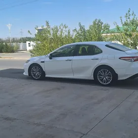 Toyota Camry 2019