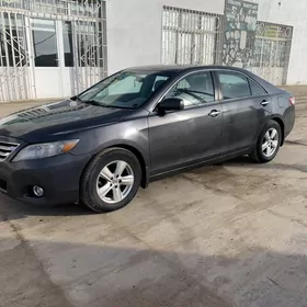 Toyota Camry 2010