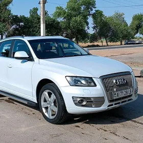 Audi Q5 2009