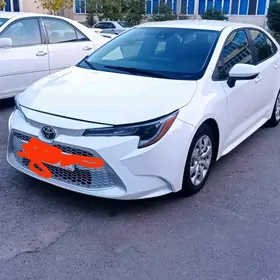 Toyota Corolla 2019