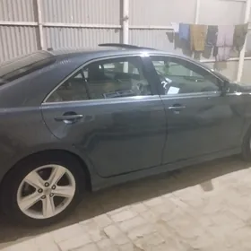 Toyota Camry 2010