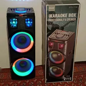 Karaoke speaker