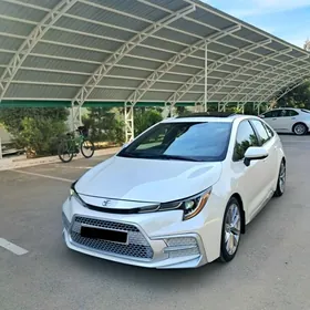 Toyota Corolla 2019