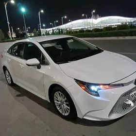 Toyota Corolla 2019