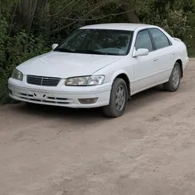 Toyota Camry 1999