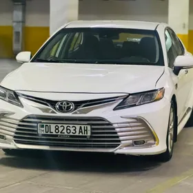 Toyota Camry 2019