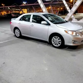 Toyota Corolla 2010