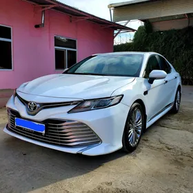 Toyota Camry 2019