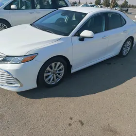 Toyota Camry 2020