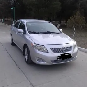 Toyota Corolla 2010