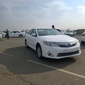 Toyota Camry 2014