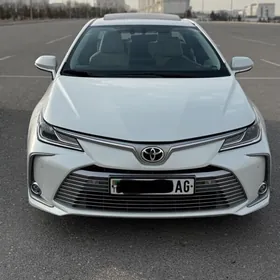 Toyota Corolla 2019