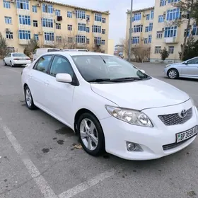 Toyota Corolla 2010