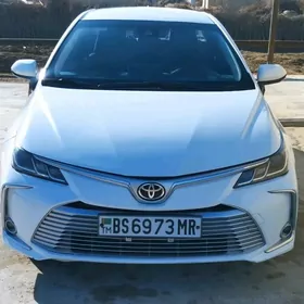 Toyota Corolla 2021