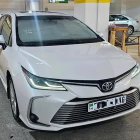 Toyota Corolla 2019