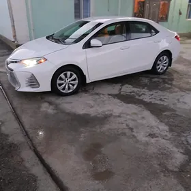 Toyota Corolla 2019