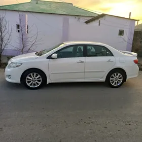 Toyota Corolla 2010