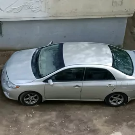 Toyota Corolla 2010