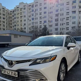 Toyota Camry 2019