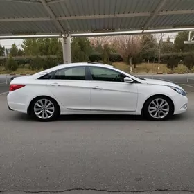 Hyundai Sonata 2010