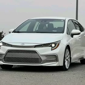 Toyota Corolla 2020