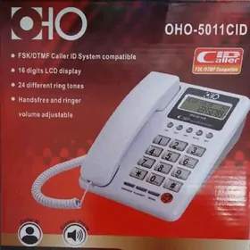 Domaşnyý telefon