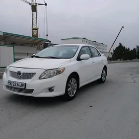 Toyota Corolla 2010