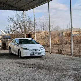 Toyota Camry 2020